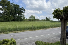 Blick-vom-Hauseingang