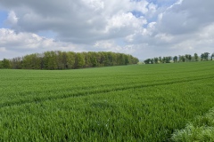 Umgebung