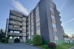 Hausfront-ganz
