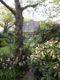 GArten-mit-Haus-hinten