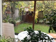 Blick-Wohnzimmer-Garten