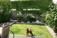 Garten-1