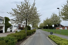Strasse-Gartenseite