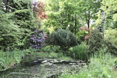 Garten Naturteich